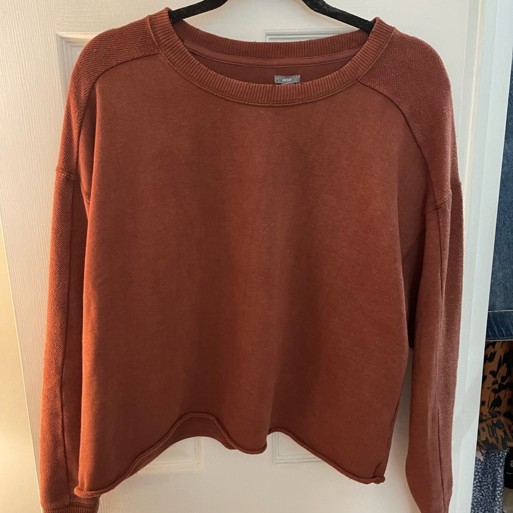 Aerie Sweatshirt
